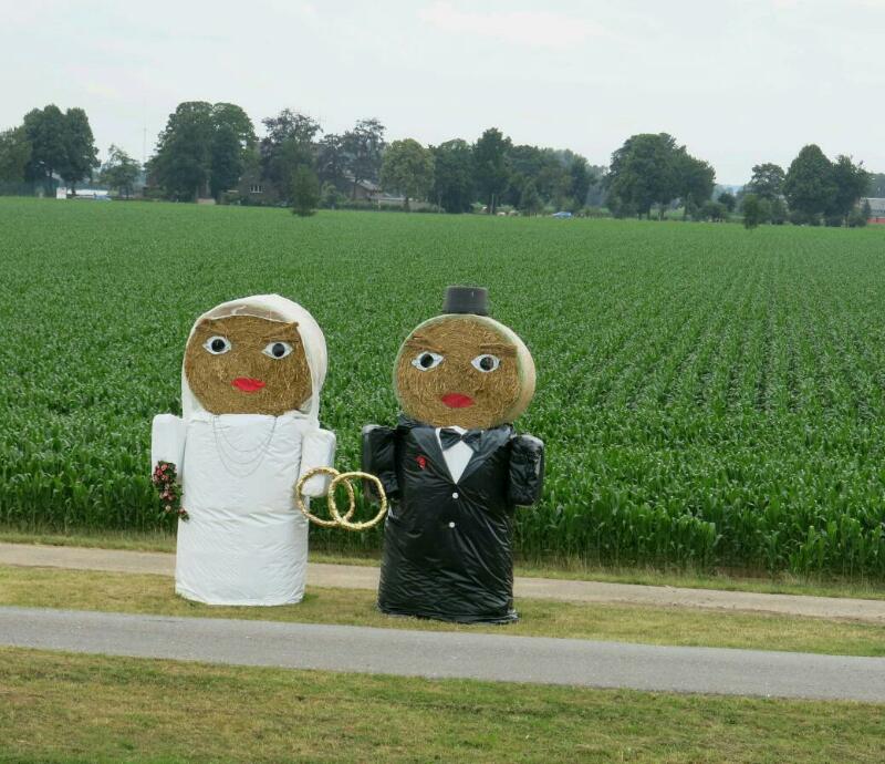 Farmer's wedding              