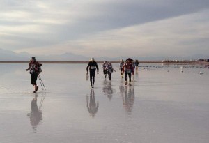 Atacama Desert 2013                     