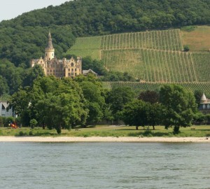 Rhine castle             